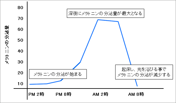 メラトニンの分泌量と時間の関係