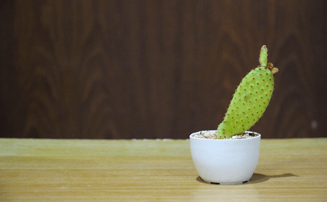 さまざまな肌トラブルと成長ホルモン