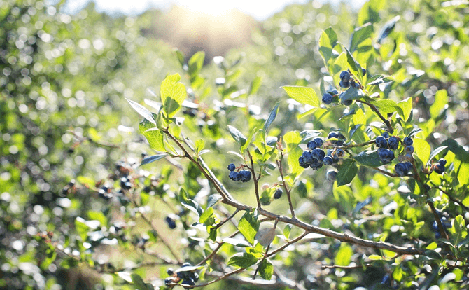 肌荒れの原因？成長ホルモンの働きについて