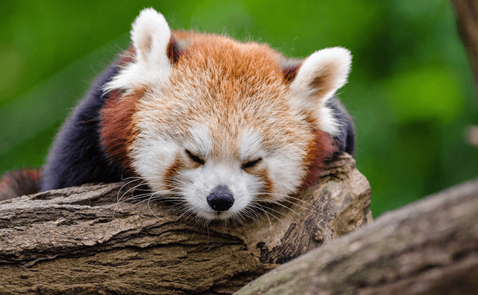 質の良い睡眠をとるために